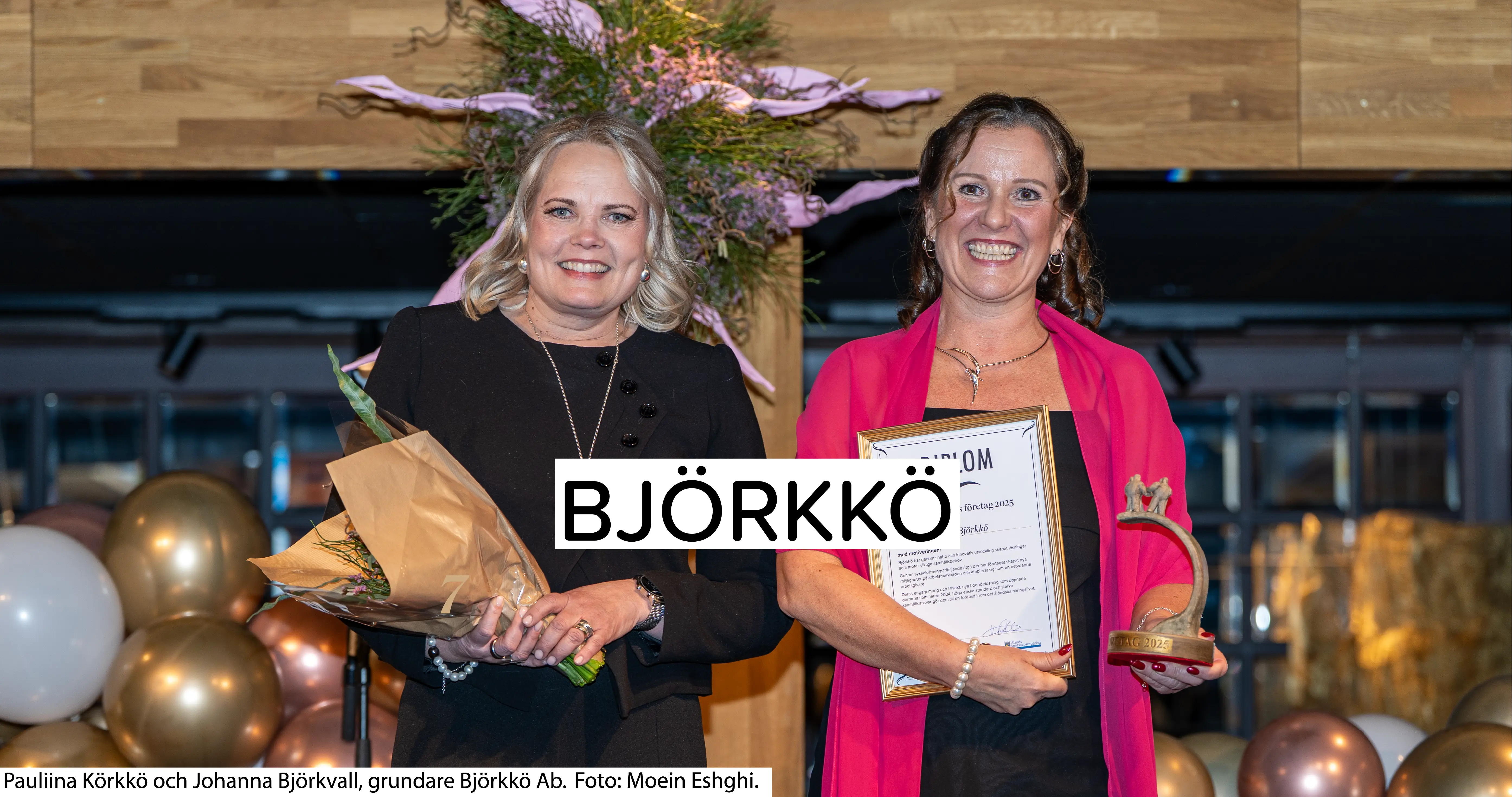 Beskrivning av bilden