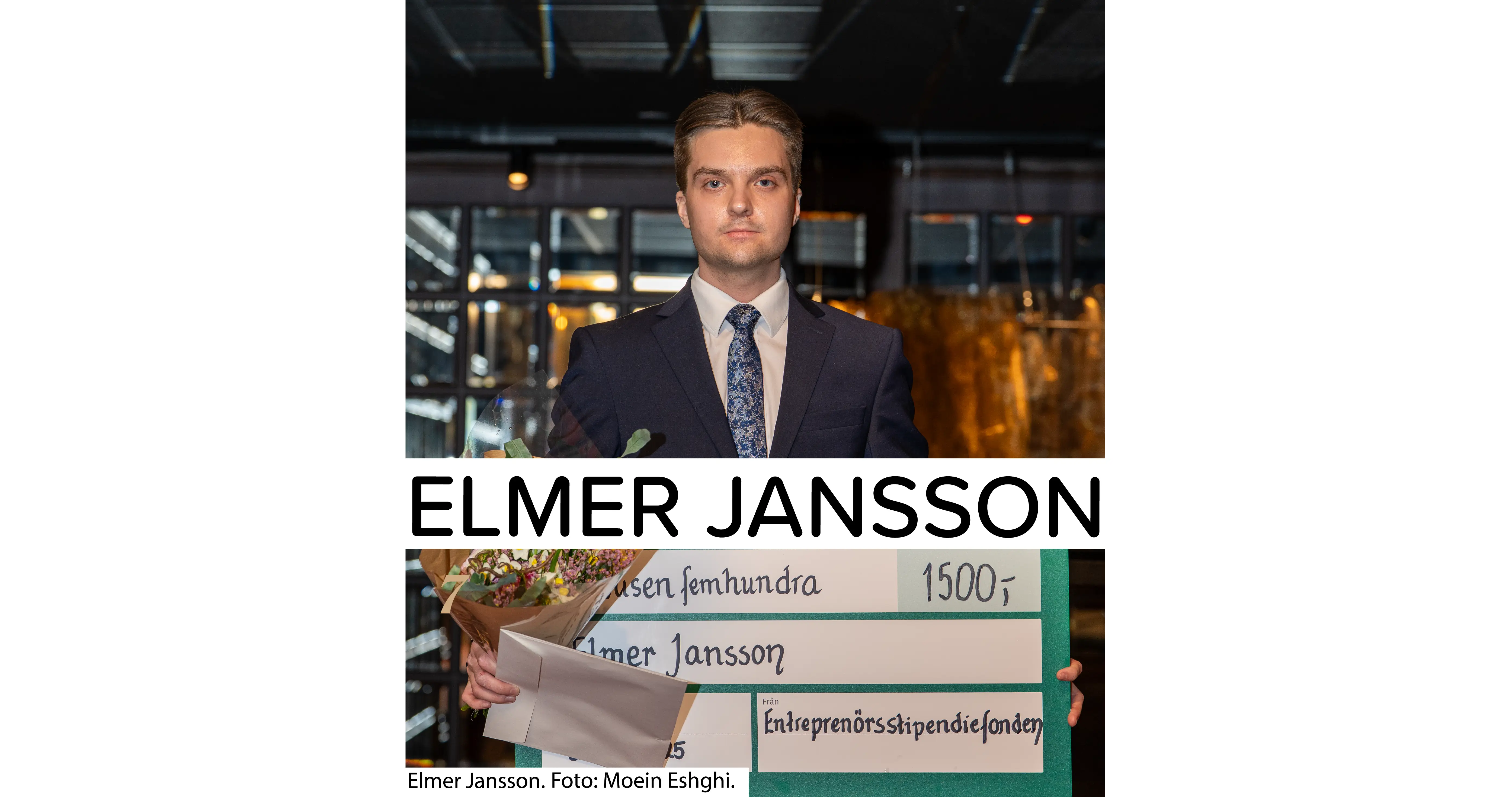 Beskrivning av bilden